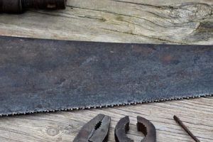 Habit 7 – Sharpen the Saw